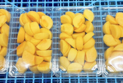 業務用 柿の写真
